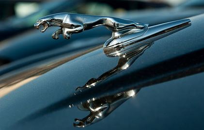 Jaguar Cars